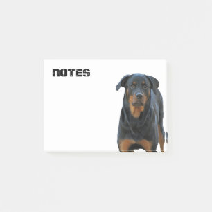 Beautiful Rottweiler Post-it Notes