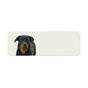 Beautiful Rottweiler Return Address Labels