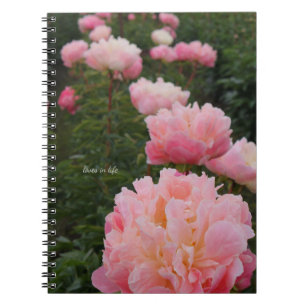 Beautiful Row of Pink Peonies Notebook