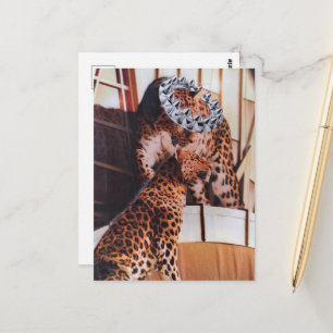 Beautiful Royal Big Cats Collage Postcard