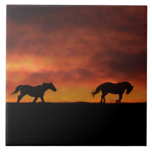 Beautiful Running Horses in the Sunset Art Ceramic Tile