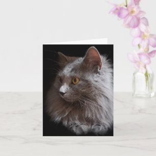 Beautiful Russian Blue Grey Cat Nebelung Blank Card