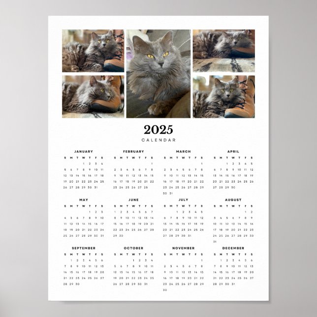 Beautiful Russian Blue Nebelung Cat 2025 Calendar  Poster (Front)