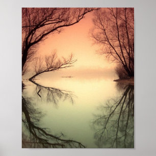 Beautiful Rustic Trees in the Sunset Poster