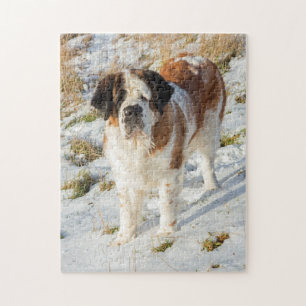 Beautiful Saint Bernard dog Jigsaw Puzzle