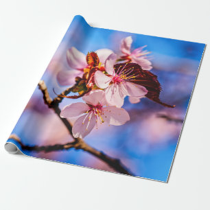 Beautiful Sakura Blossoms Wrapping Paper