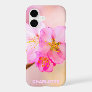 Beautiful Sakura Cherry Blossoms