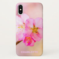 Beautiful Sakura Cherry Blossoms