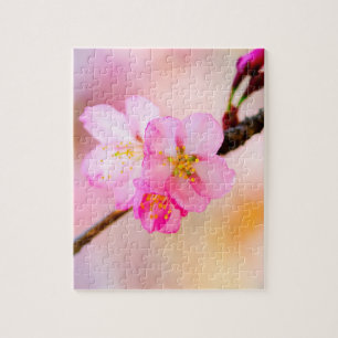 Beautiful Sakura Cherry Blossoms Challenging Jigsaw Puzzle