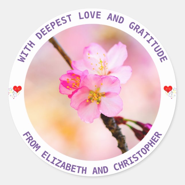 Beautiful Sakura Cherry Blossoms Classic Round Sticker (Front)