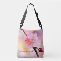 Beautiful Sakura Cherry Blossoms