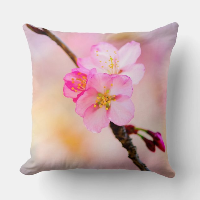 Beautiful Sakura Cherry Blossoms Cushion (Front)