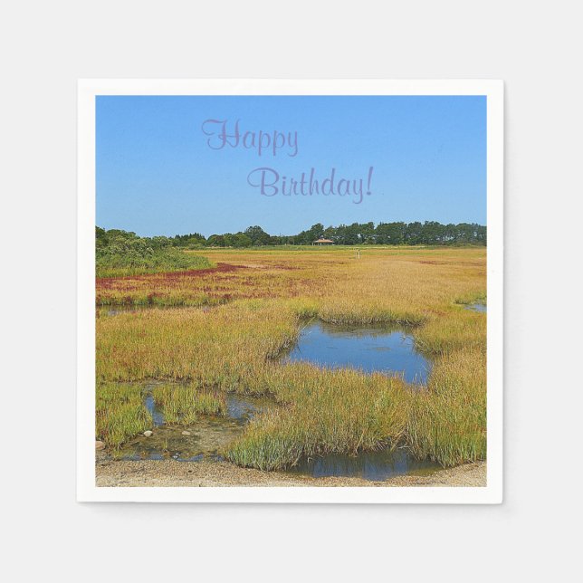Beautiful Salt Water Marsh Napkin (Front)