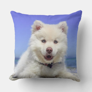 Beautiful Samoyed Dog Cushion