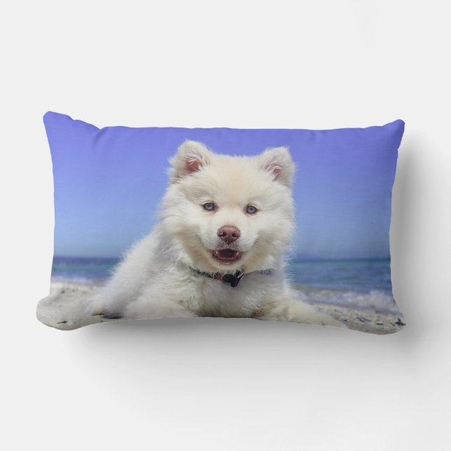 Beautiful Samoyed Dog Lumbar Cushion (Front)