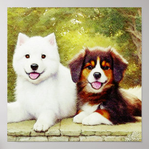Beautiful Samoyed & English Shepherd Pups Poster