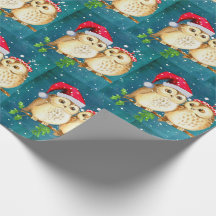 Beautiful Santa Owls Christmas