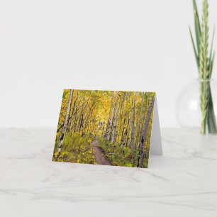 Beautiful Scenic Autumn Trail in Aspen Tree Grove Card