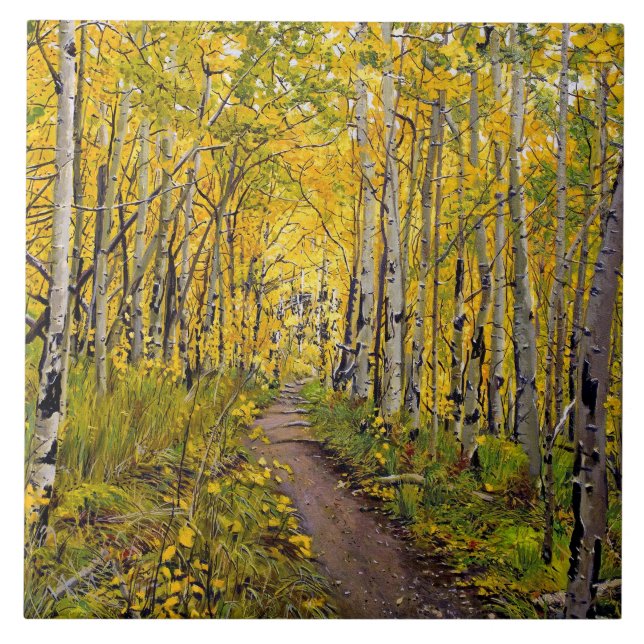 Beautiful Scenic Autumn Trail in Aspen Tree Grove Ceramic Tile (Front)