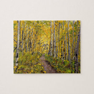 Beautiful Scenic Autumn Trail in Aspen Tree Grove Jigsaw Puzzle