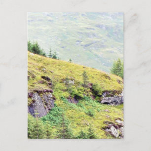 Beautiful Scottish Countryside Postcard