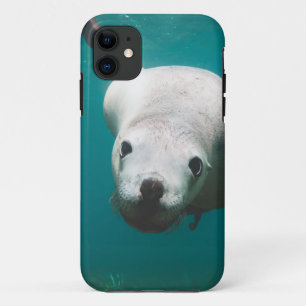 Beautiful Sea Lion iPhone 11 Case