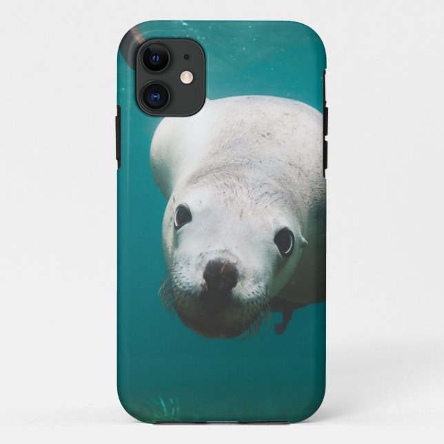 Beautiful Sea Lion Case-Mate iPhone Case (Back)