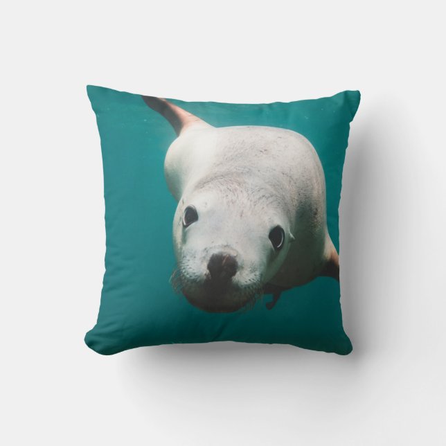 Beautiful Sea Lion Cushion (Front)