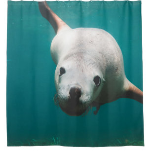 Beautiful Sea Lion Shower Curtain