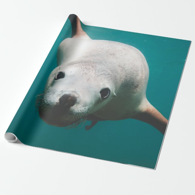 Beautiful Sea Lion Wrapping Paper (Unrolled)