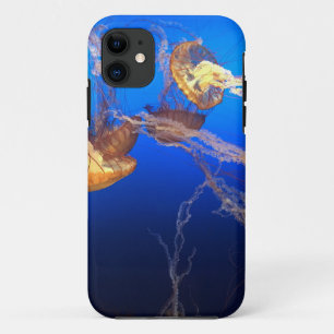 Beautiful Seascape iPhone 11 Case
