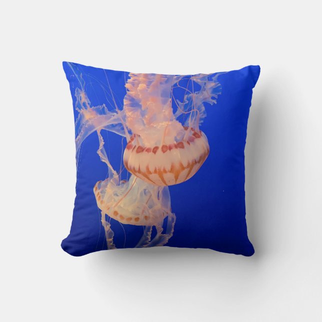Beautiful Seascape Cushion (Front)