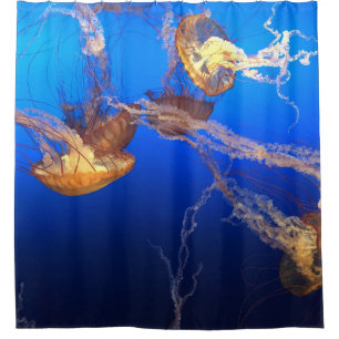 Beautiful Seascape Shower Curtain