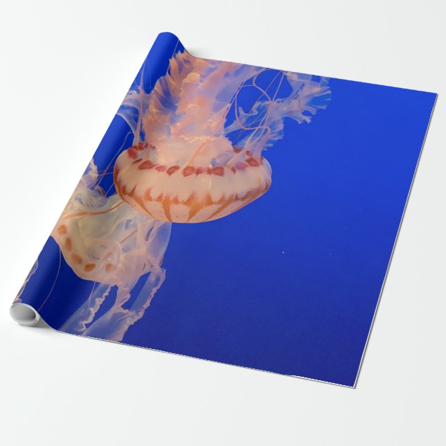 Beautiful Seascape Wrapping Paper (Unrolled)
