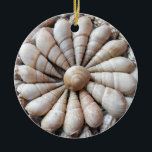 Beautiful Seashell Circular Ornament<br><div class="desc">Add a touch of tropical flavour to your Christmas tree or hang it where you can enjoy it year round.  The ornament is printed on both sides and is just under 3" in diameter.  It's made of white porcelain material so you know it's a quality product.</div>