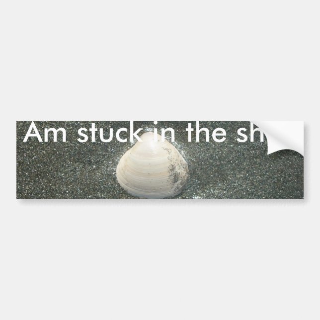 Beautiful Seashell in the Sand: A Salty Souvenir Bumper Sticker (Front)