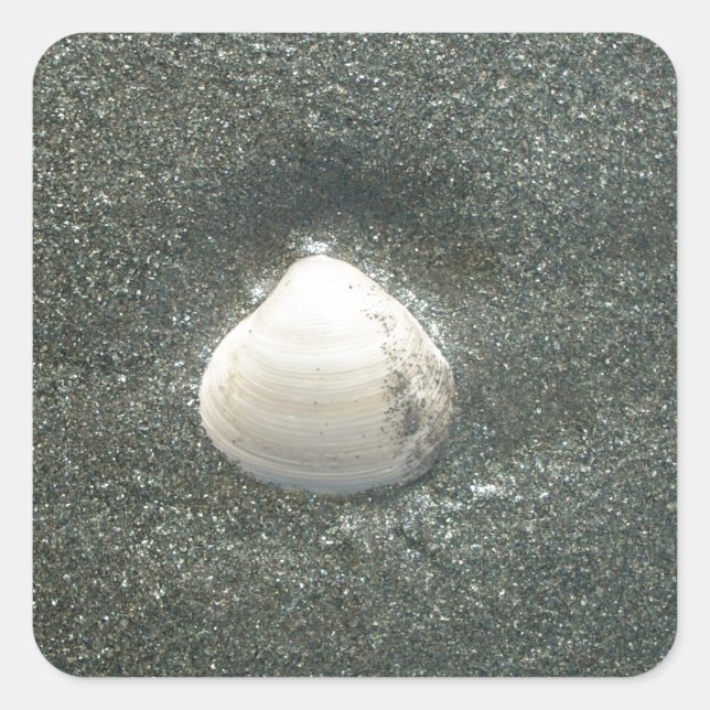 Beautiful Seashell in the Sand: A Salty Souvenir Square Sticker (Front)