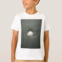 Beautiful Seashell in the Sand: A Salty Souvenir