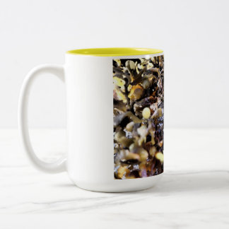 Beautiful Seashell Two-Tone Coffee Mug