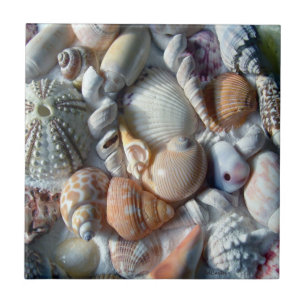 Beautiful Seashells Sea Life Square Tile