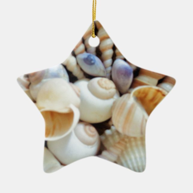 Beautiful Seashells, Summer, Beach, Shells Ceramic Ornament (Front)