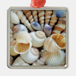 Beautiful Seashells, Summer, Beach, Shells Metal Ornament