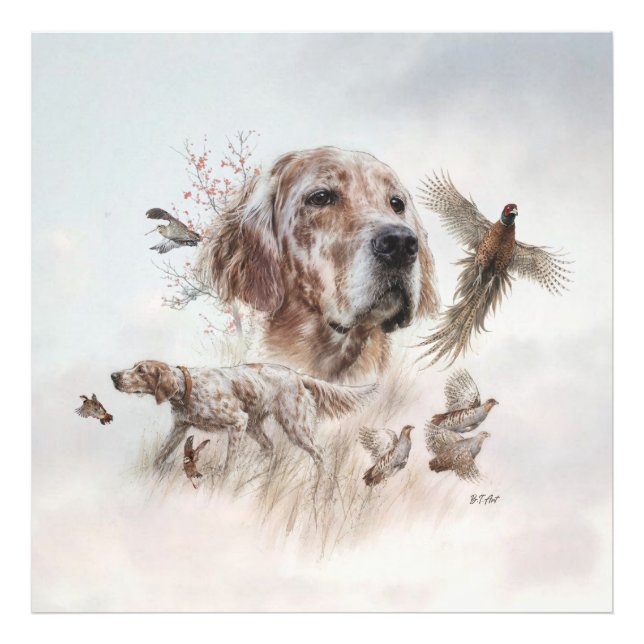 Beautiful Setter , Art Photo Print (Front)