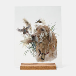 Beautiful Setter with Pheasants , Art Acrylic Sign