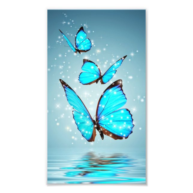 beautiful shiny blue butterfly photo print (Front)