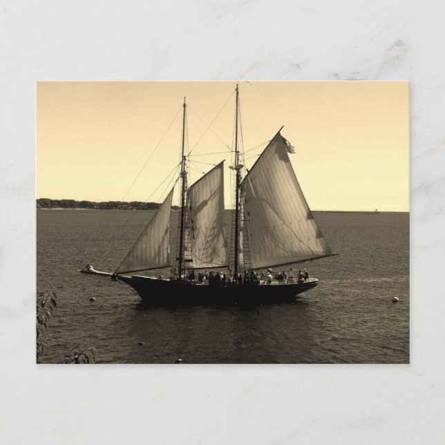 Beautiful ship on the Ocean Postcard (Front)