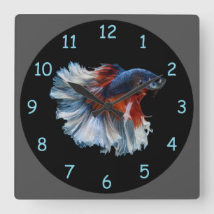Beautiful Siamese Betta Fish Square Wall Clock