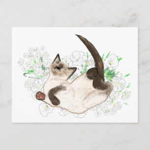 Beautiful Siamese Cat art gifts and accessories Postcard