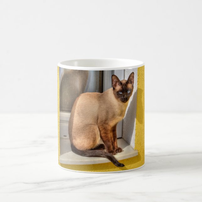 Beautiful Siamese Cat Coffee Mug (Center)