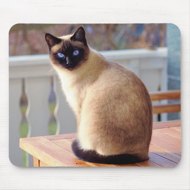 Beautiful Siamese Cat with Blue Eyes Mouse Pad (Front)